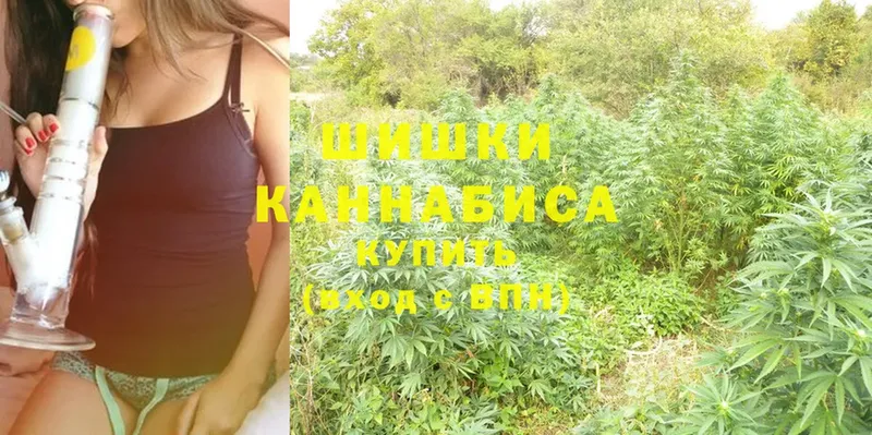 Каннабис SATIVA & INDICA  Каргат 